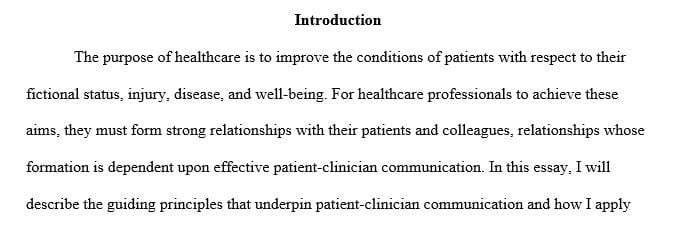 Define the seven principles of patient- clinician communication