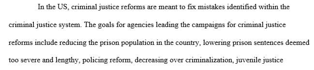 What are some possible reforms for the criminal justice system