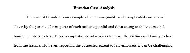  Analyze the assessment of a case through ecological and strengths-based perspectives