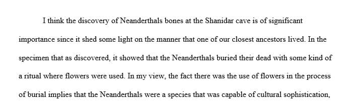 Return to Shanidar: Surprise Neanderthal Skeleton Find at Famous ‘Flower Burial’ Site