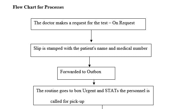 Creating the first steps of a performance improvement plan for this case study.