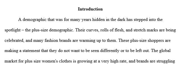 Discussion of Lane Bryant’s positioning strategy including who you feel are Lane Bryant’s top two competitors