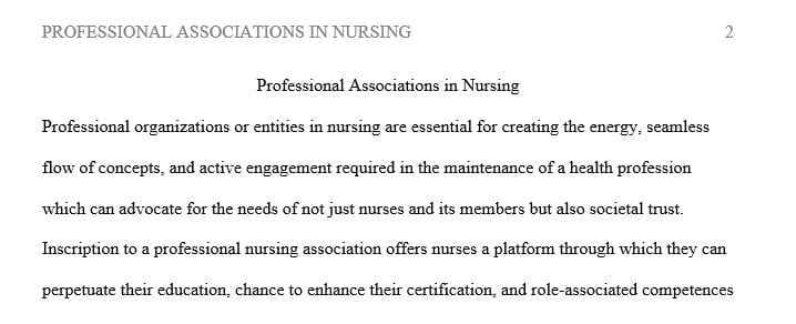 Examine the importance of professional associations in nursing.