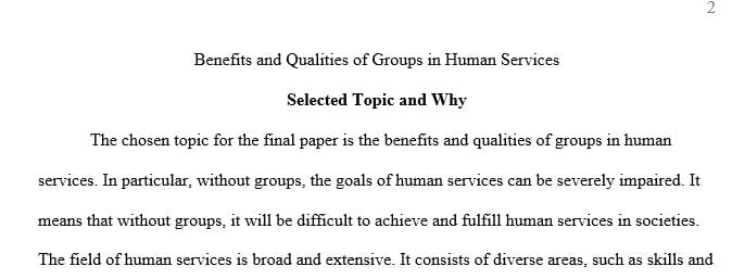 Identify a topic or topic area that defines management group activity relevant to human services
