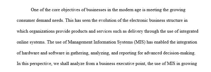Perspective of a manager or an executive that uses Information Systems to increase the bottom-line and grows the company.
