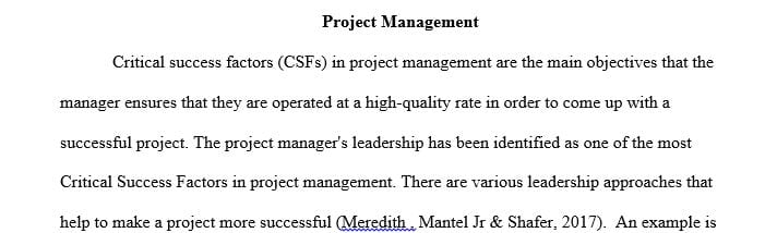 What do you think is the most appropriate leadership approach to succeed in project management