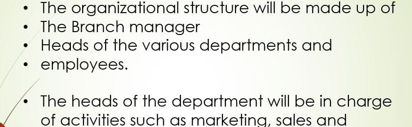 Develop an organizational structure for the product