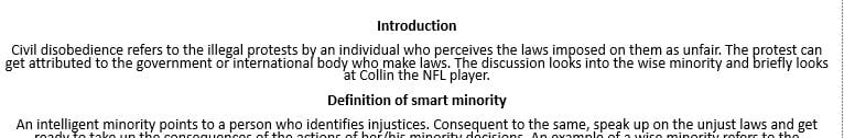 Write a presentation slides about a wise minority