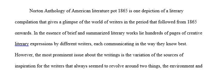 Essay on my beliefs of American literature
