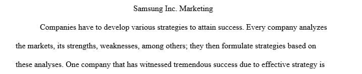 Identify a large company to be your mentor company to analyze and formulate its global marketing strategy.