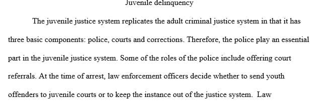 What is the role of police in the juvenile justice system What legal issues or other factors can influence the way that a police officer.
