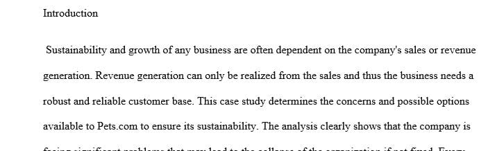 Case papers should address the key issues that pertain to the financial strategy