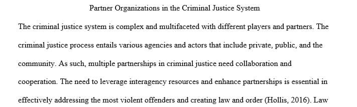 Select any partner organization in the US Criminal Justice System