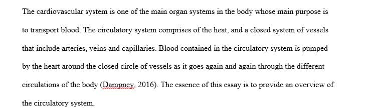 500-750 words APA on the cardiovascular system