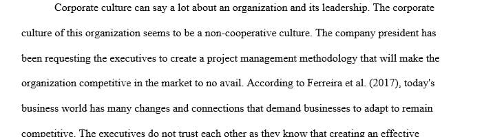 What can you determine about the corporate culture from the fact that they waited this long to consider the development of an EPM system