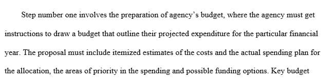 Analyze the steps in the budgeting process summarized in the NASBO presentation