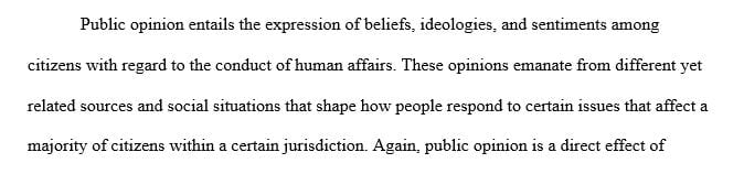 Where does public opinion come from? Discuss its cognitive foundations and how socialization produces these.