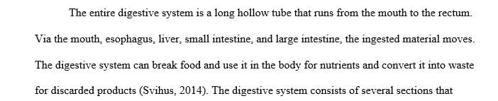 The digestive system plays a critical role in how our body takes in and processes food.