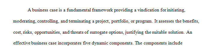 Analyze the potential economic opportunities and risks associated with your proposed initiative.