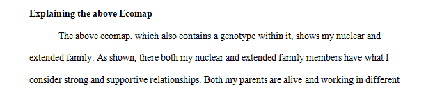 Create your Ecomap (with the Family System Genogram) being represented in the middle