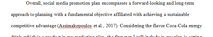 Describe an internet social media promotion plan