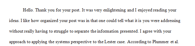 Critique your colleague's suggestion about how to apply a systems perspective to Lester Johnson's case.