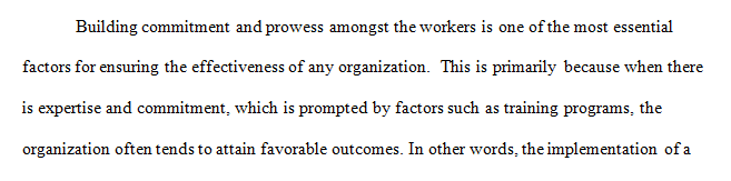 You are the HR director of training and development of a start-up organization.