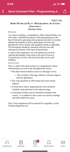 Create a detailed description of the programming for the Sport Outreach organization (the proposed activities)