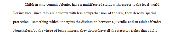 Compose an essay comparing the process of how a first-time juvenile offender versus an adult offender might be handled by police