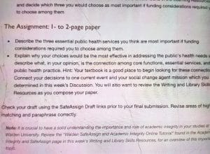 Describe the three essential public health services you think are most important