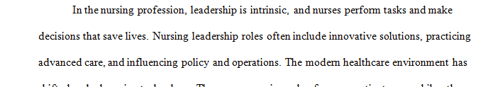 Explain the nurse leader’s role at each stage of your project.