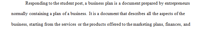 What do entrepreneurs usually mean when they talk about a business plan