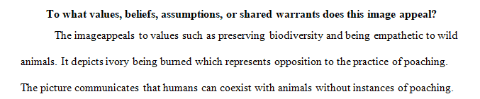 Essay 2 is an analysis of a visual argument. You will select a visual argument on the internet