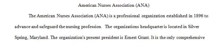 Examine the importance of professional associations in nursing.