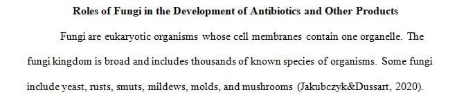 Discuss the roles that fungi have played in our development of antibiotics and other products.