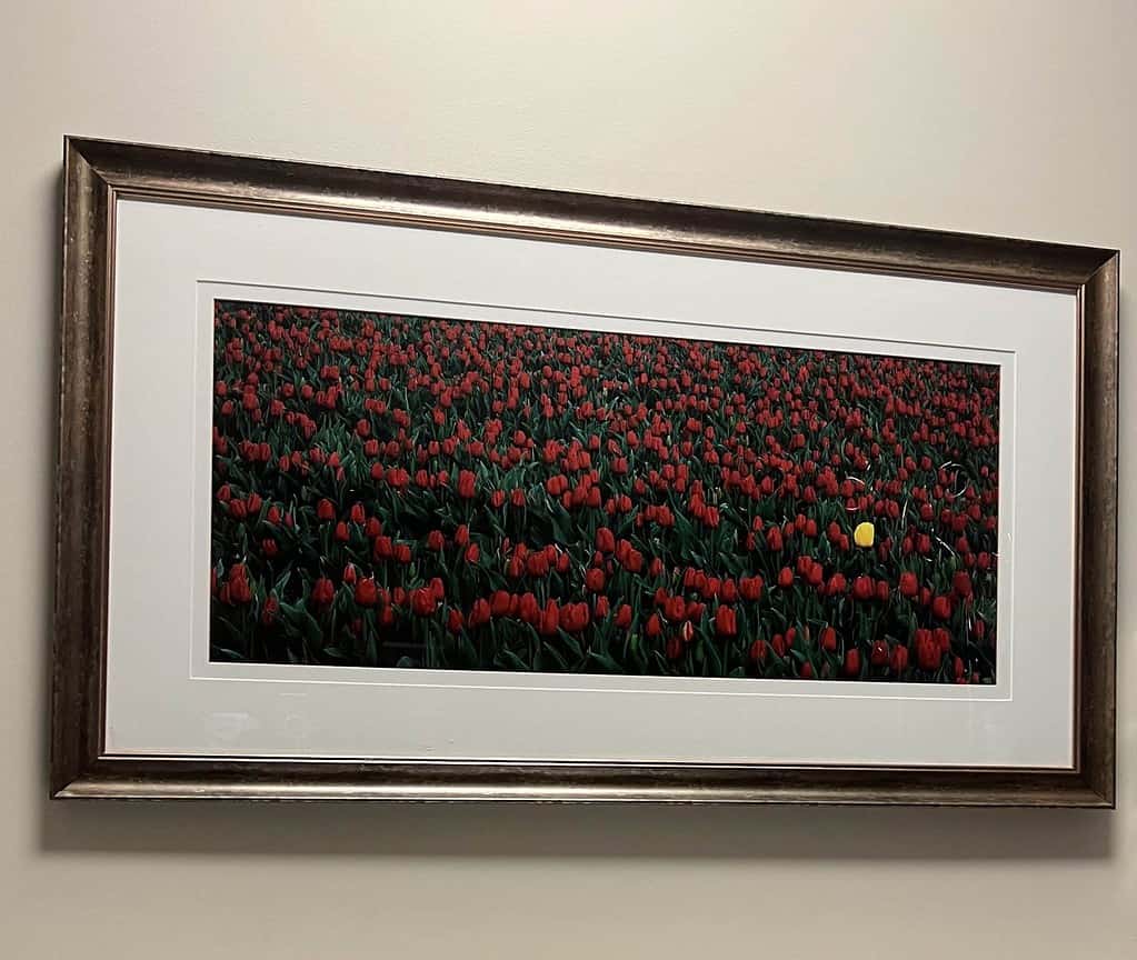 Turn your sociological focus to the world that surrounds you and capture an image