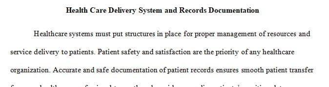 Outline the basic structure of the U.S. health care delivery system