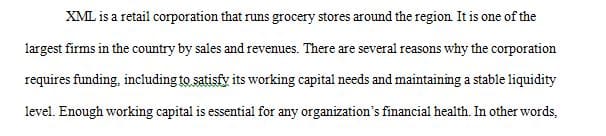 Prepare a financial plan for a hypothetical company NOT an actual company
