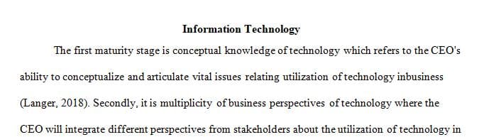 Define each of the maturity stages and performance dimensions