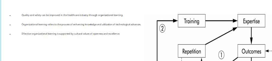 You have been invited to a healthcare symposium to discuss organizational learning