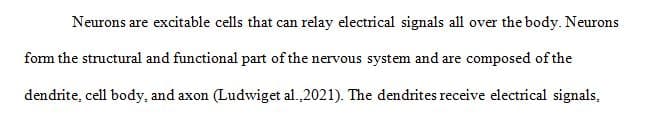 Describe the anatomy of the basic unit of the nervous system