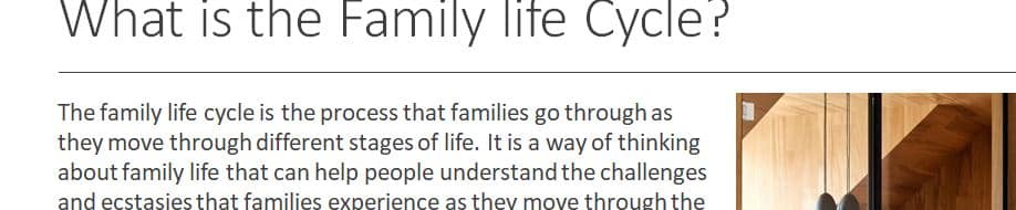 Imagine you are a mental health worker assigned the task of presenting information about this life stage for training purposes