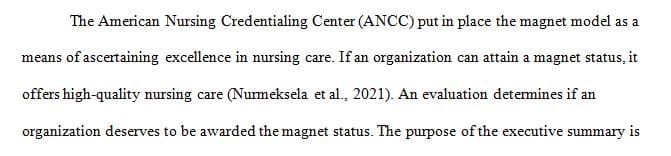 One of the most important skills for a nurse executive to have is the ability to write an executive summary.