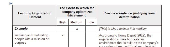 Q1) For the company you’ve been assessing throughout the course (Home Depot), identify the types of innovations it is pursuing.
Q2) Do the innovations tend to be incremental or radical? Product-related or process-related?
Review the 6 key elements of a learning organization