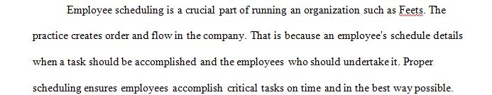 What are the parameters and considerations that must be made when developing the employee schedules for the retail stores at Feets.